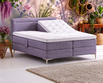 Cinderella Tender Box Spring