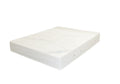 SG40 matras 100 x 200 x 14 cm Hard - Bedworld B.V.